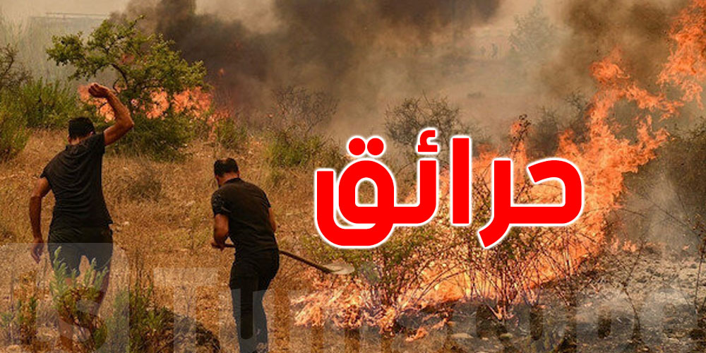  حرائق الغابات في الجزائر : وفاة 15 شخصاً وإصابة 26 آخرين